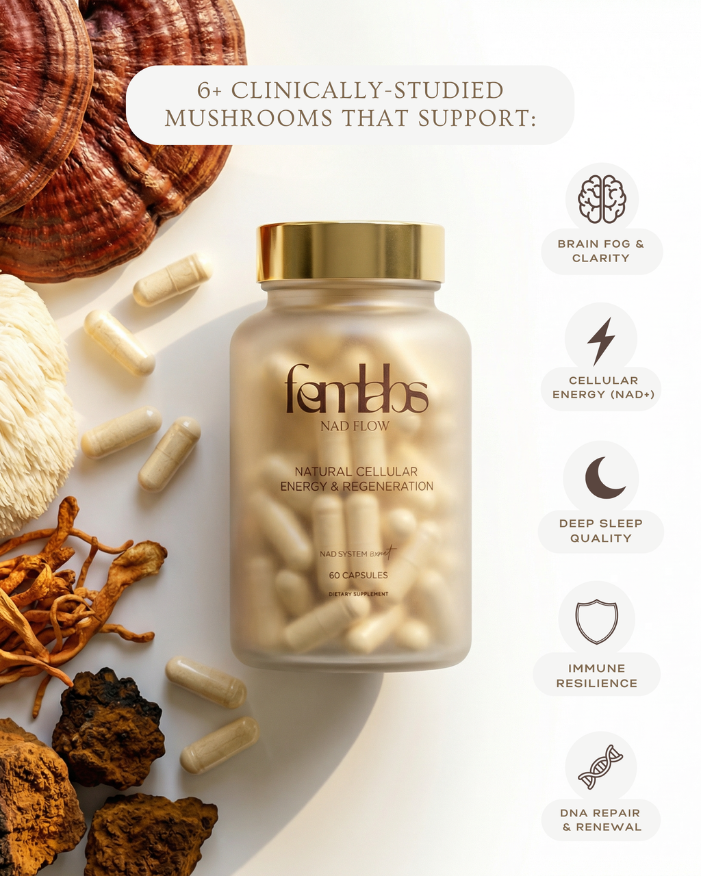 NAD Flow™ | Night Formula