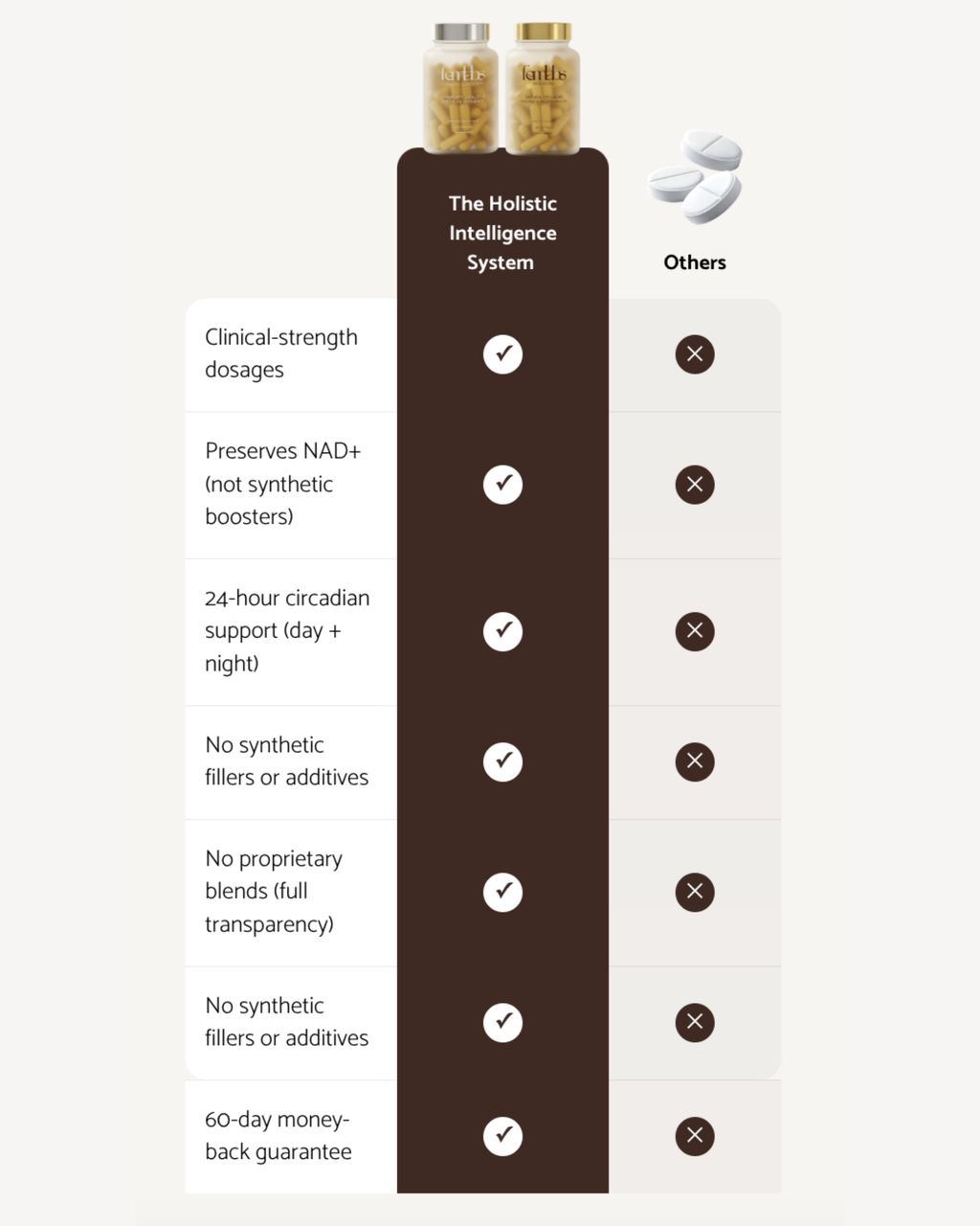 The Holistic Intelligence System | Day + Night