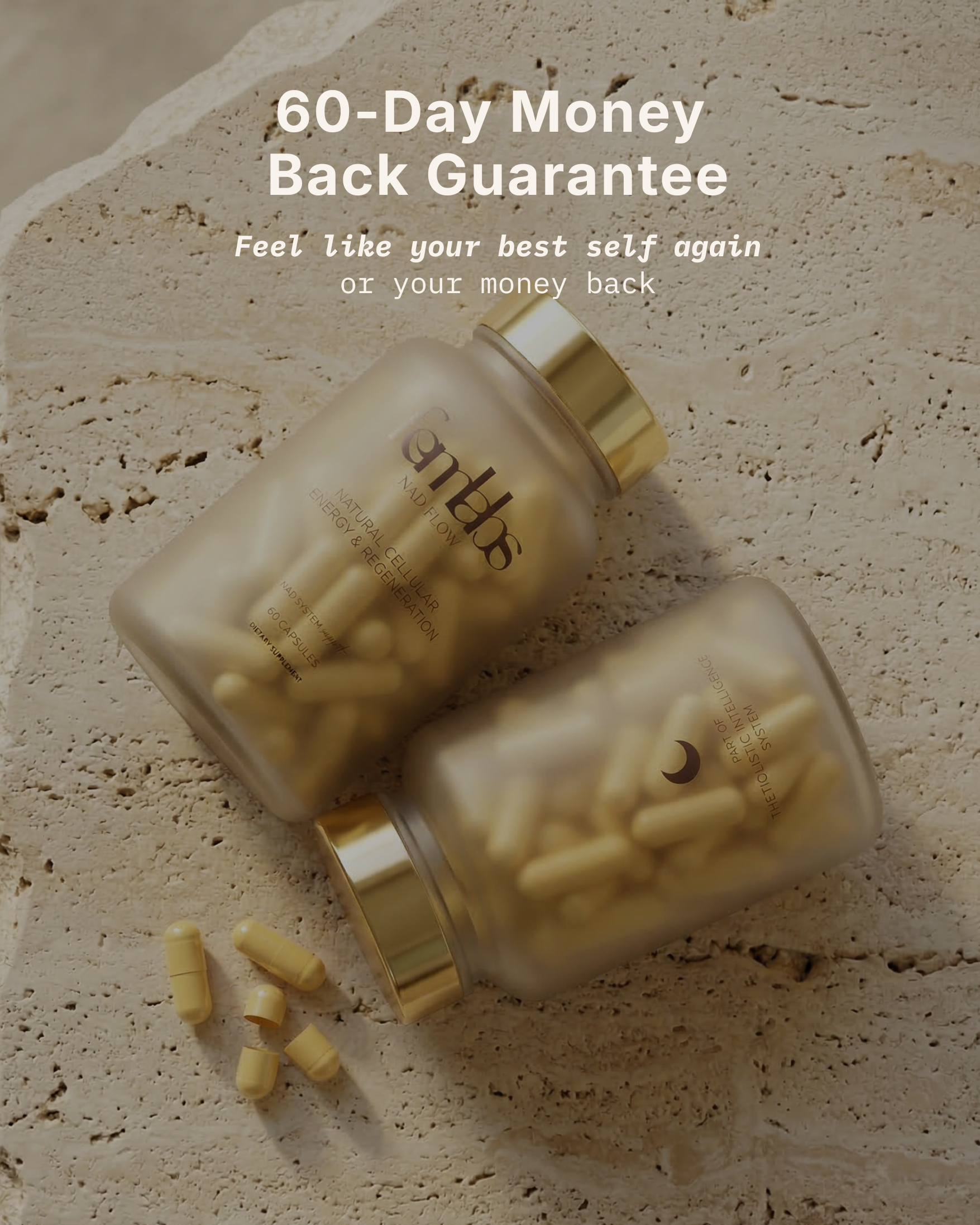 NAD Flow™ | Night Formula