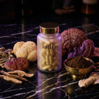 The Complete Intelligence Stack FemLabs